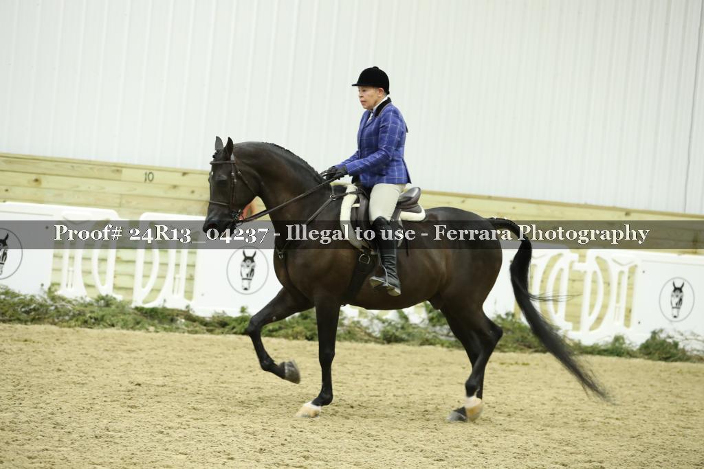 Proof 24R13_04237