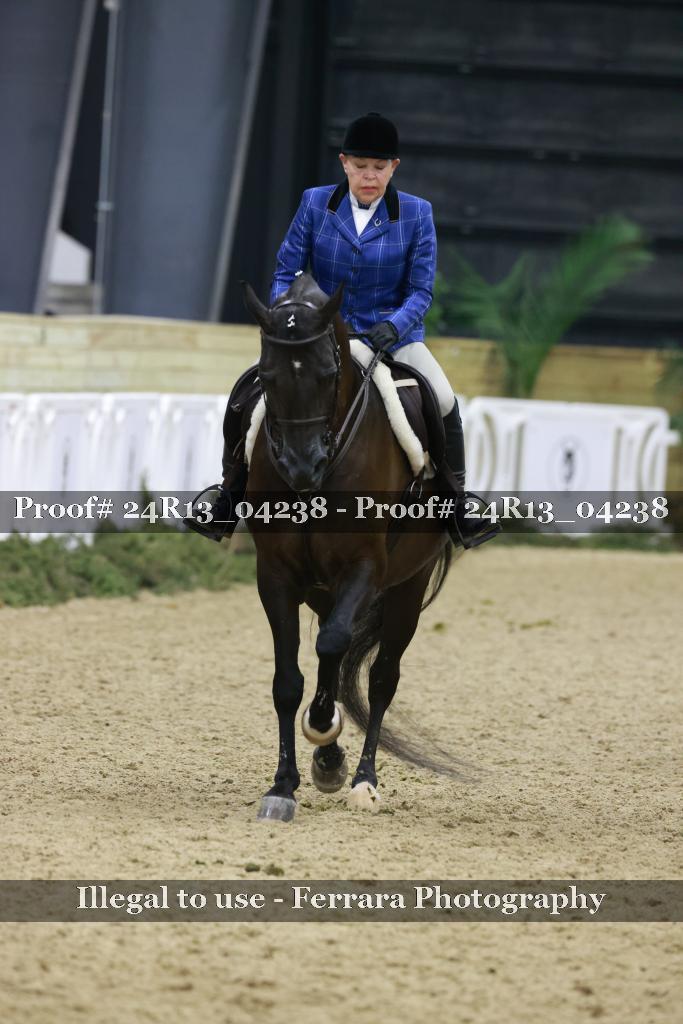 Proof 24R13_04238