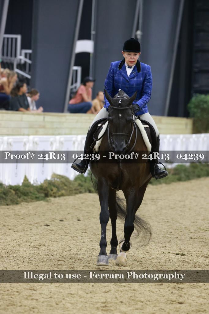 Proof 24R13_04239