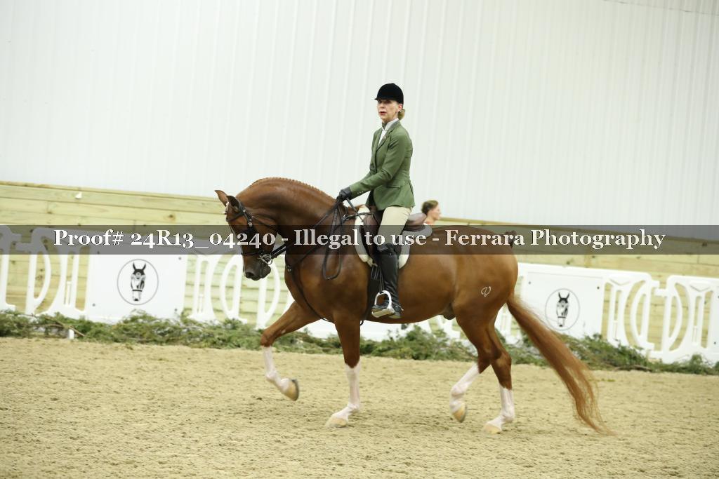 Proof 24R13_04240