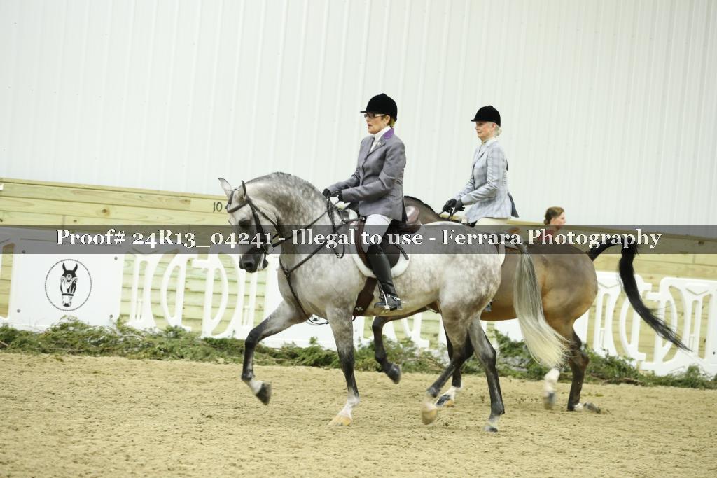 Proof 24R13_04241