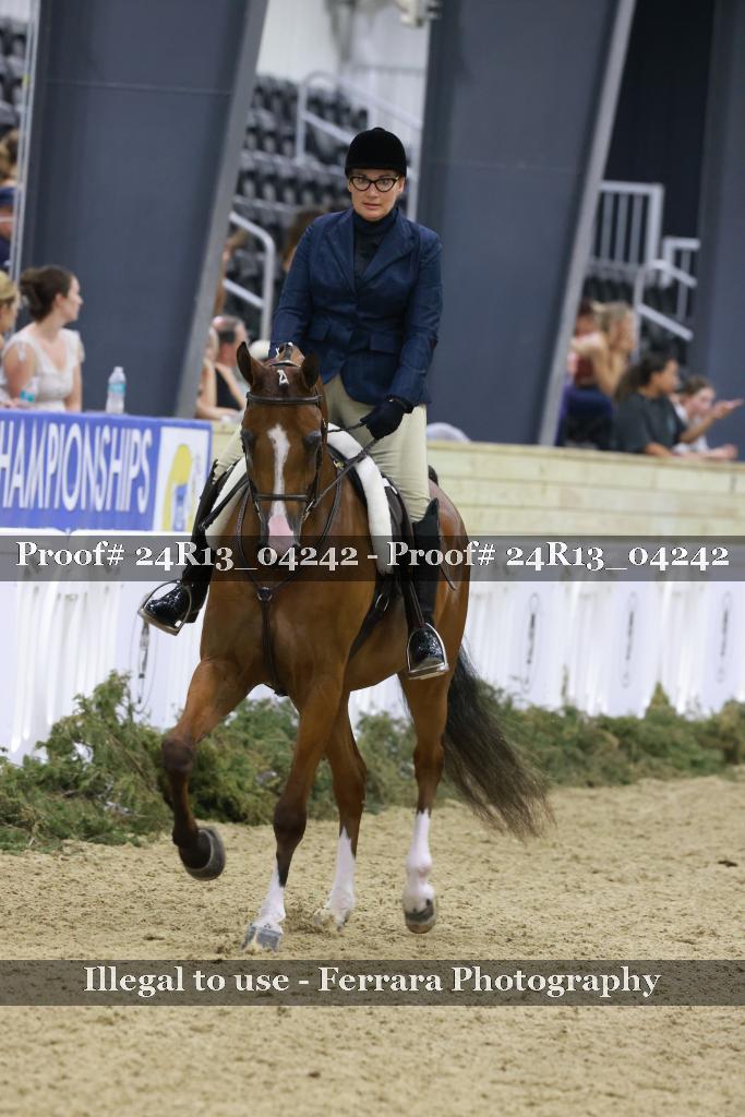 Proof 24R13_04242