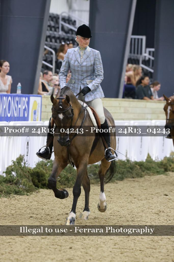 Proof 24R13_04243