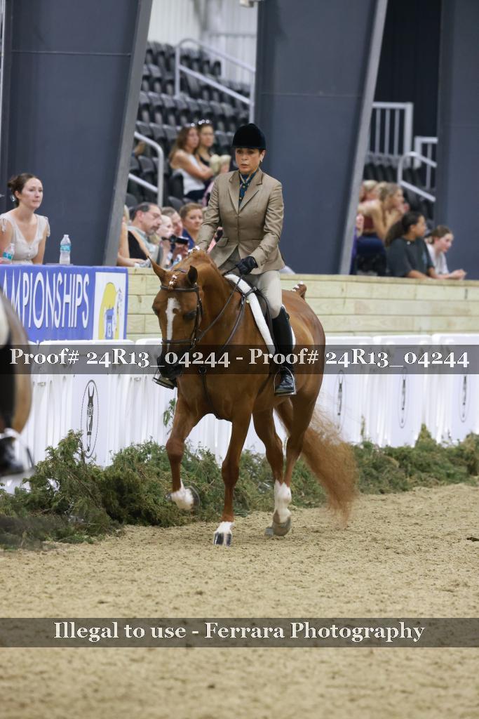 Proof 24R13_04244