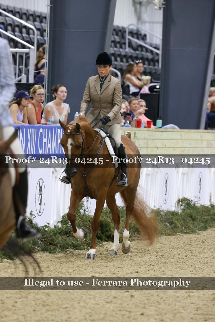 Proof 24R13_04245