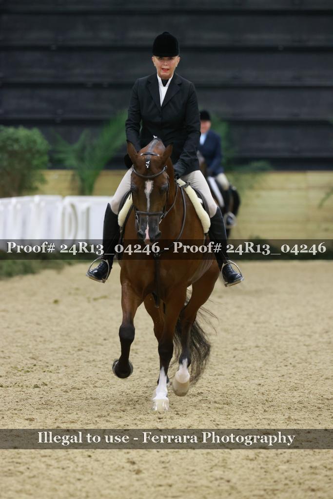 Proof 24R13_04246