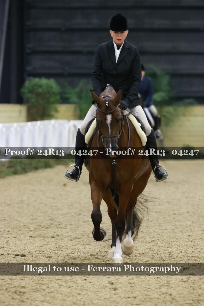 Proof 24R13_04247