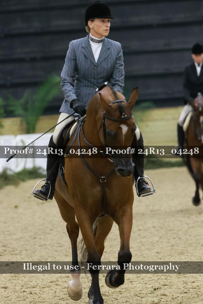 Proof 24R13_04248