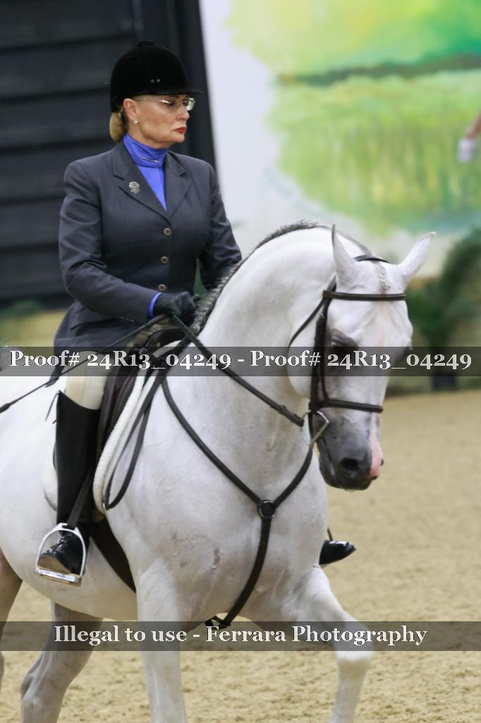 Proof 24R13_04249
