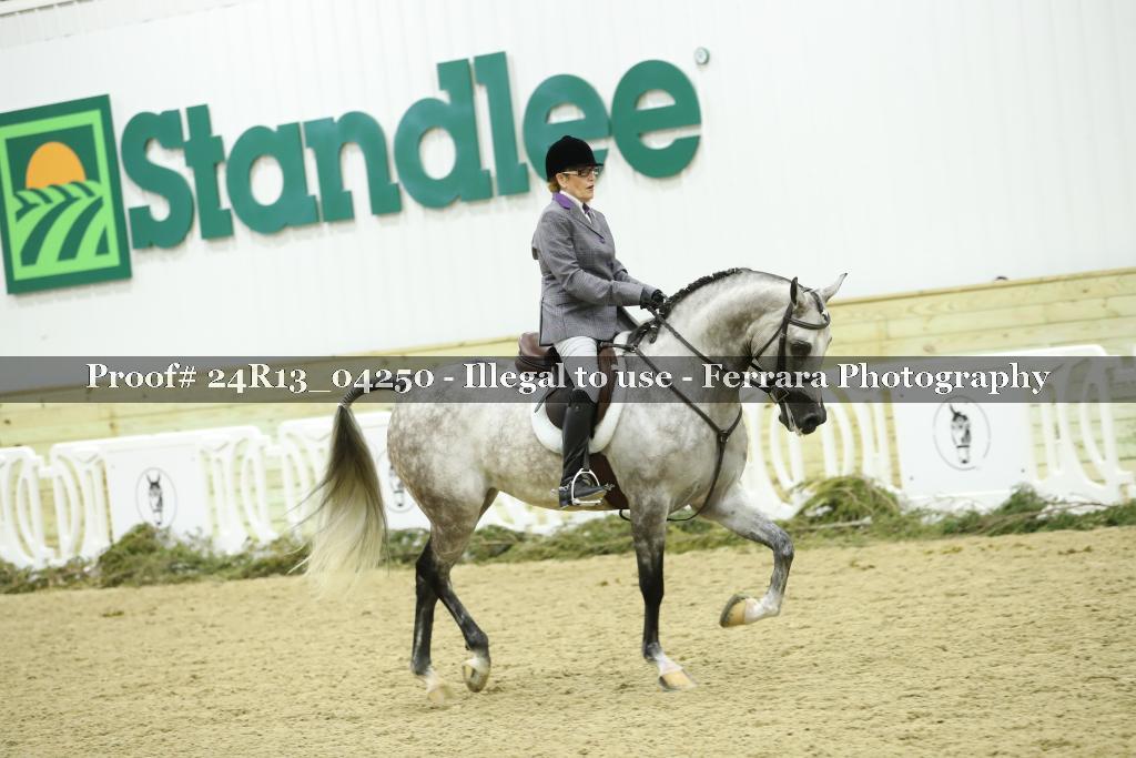 Proof 24R13_04250