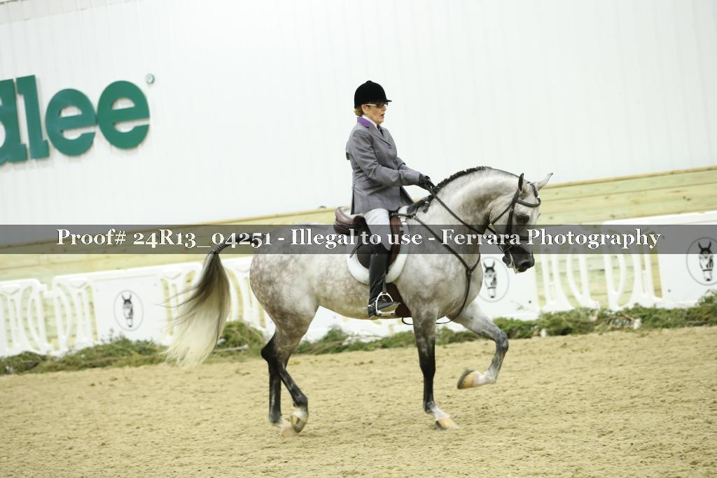 Proof 24R13_04251