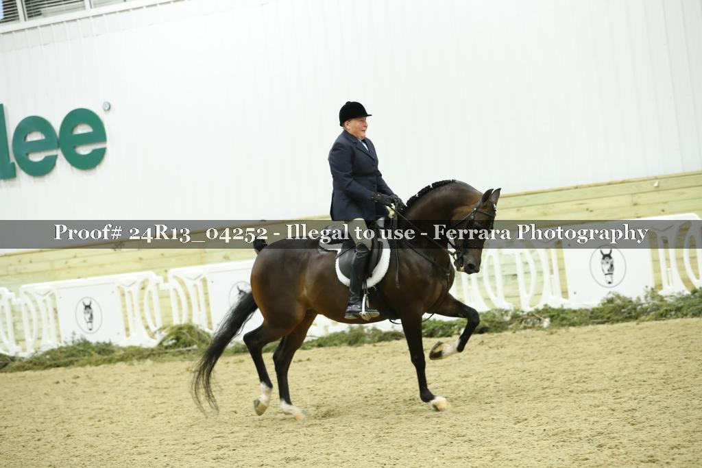 Proof 24R13_04252