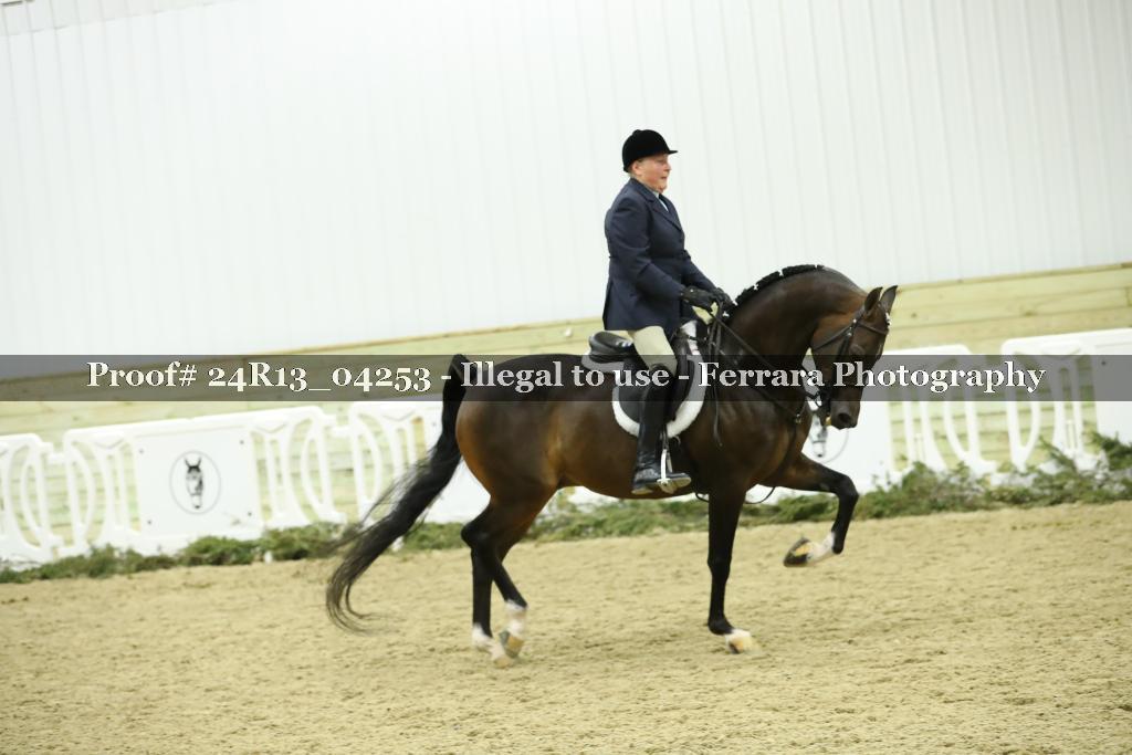 Proof 24R13_04253