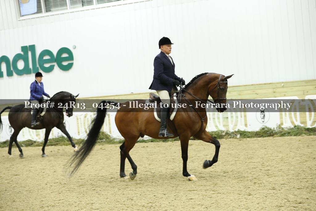 Proof 24R13_04254