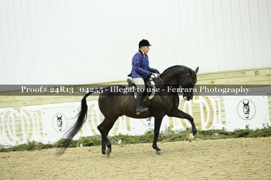 Proof 24R13_04255