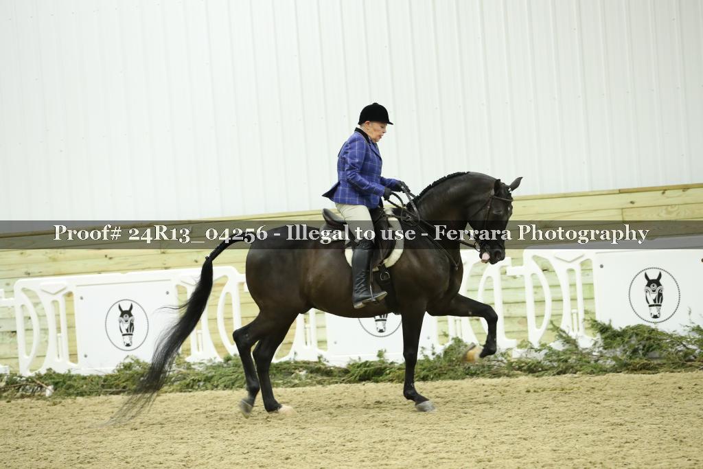 Proof 24R13_04256