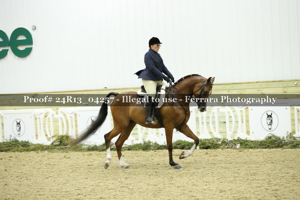 Proof 24R13_04257