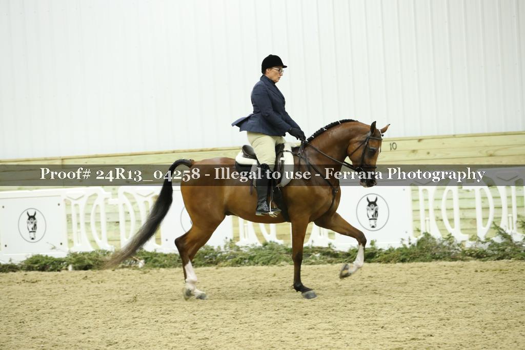 Proof 24R13_04258