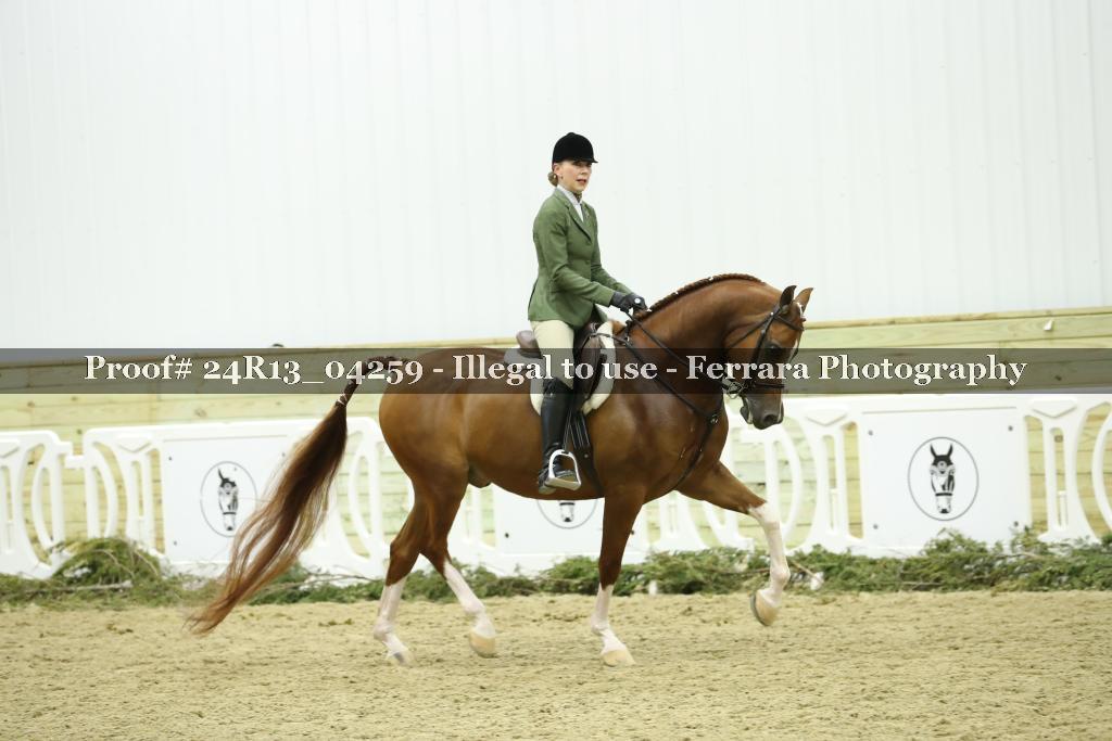 Proof 24R13_04259