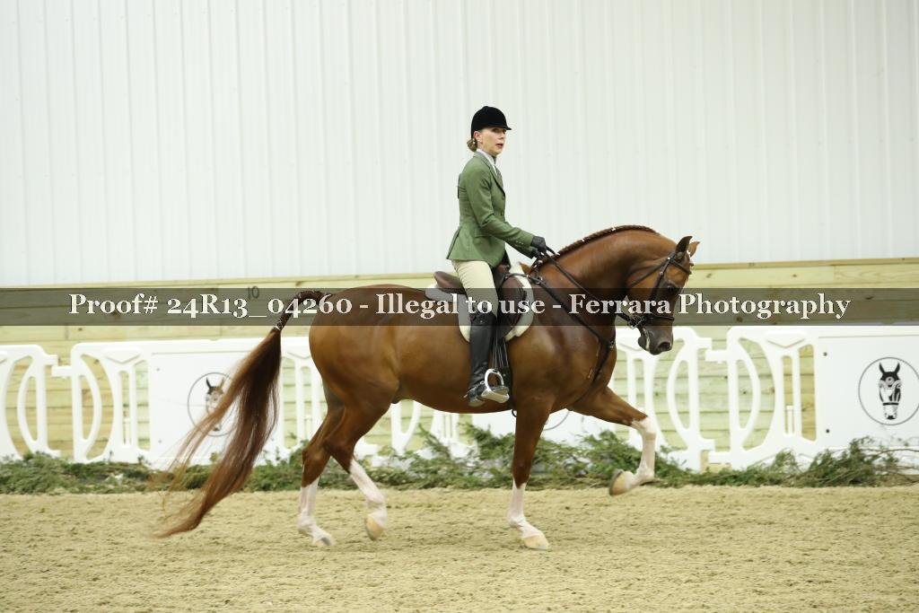 Proof 24R13_04260