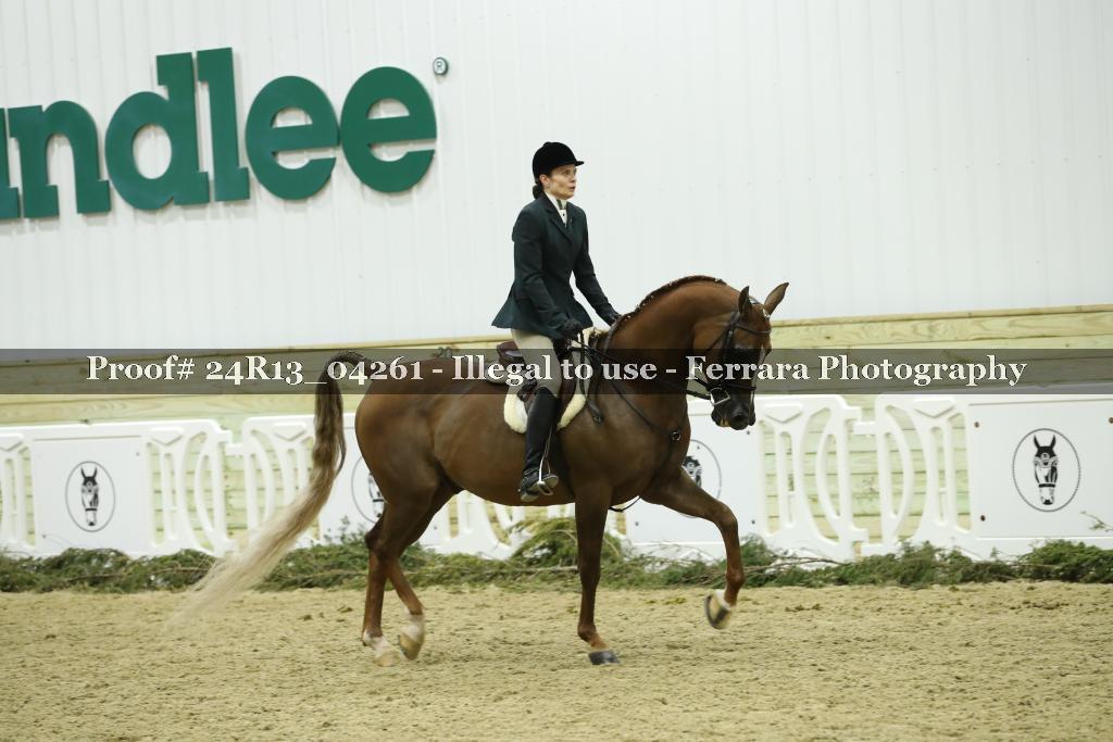 Proof 24R13_04261