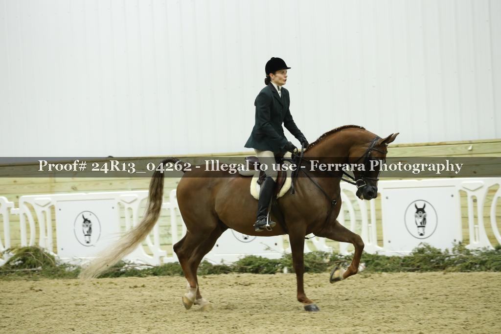 Proof 24R13_04262