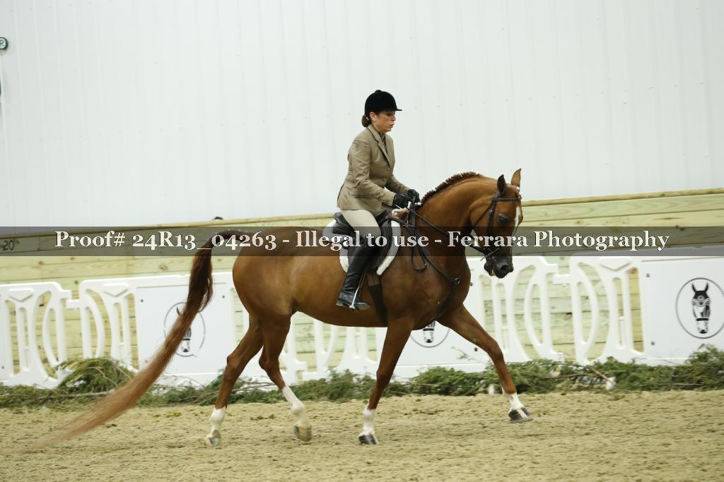 Proof 24R13_04263
