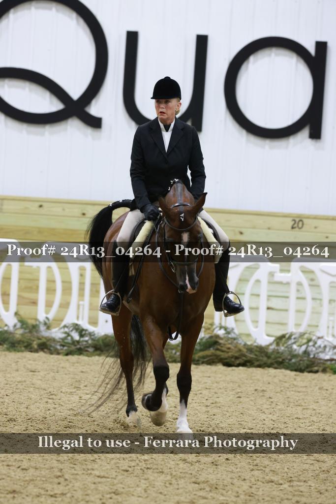Proof 24R13_04264