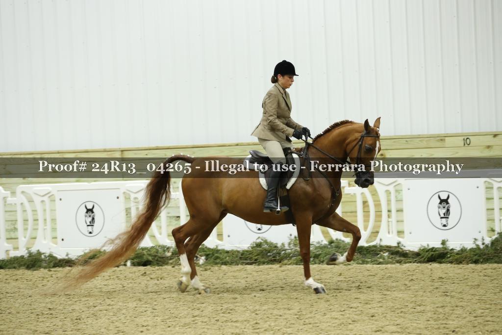 Proof 24R13_04265