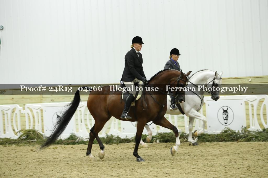 Proof 24R13_04266