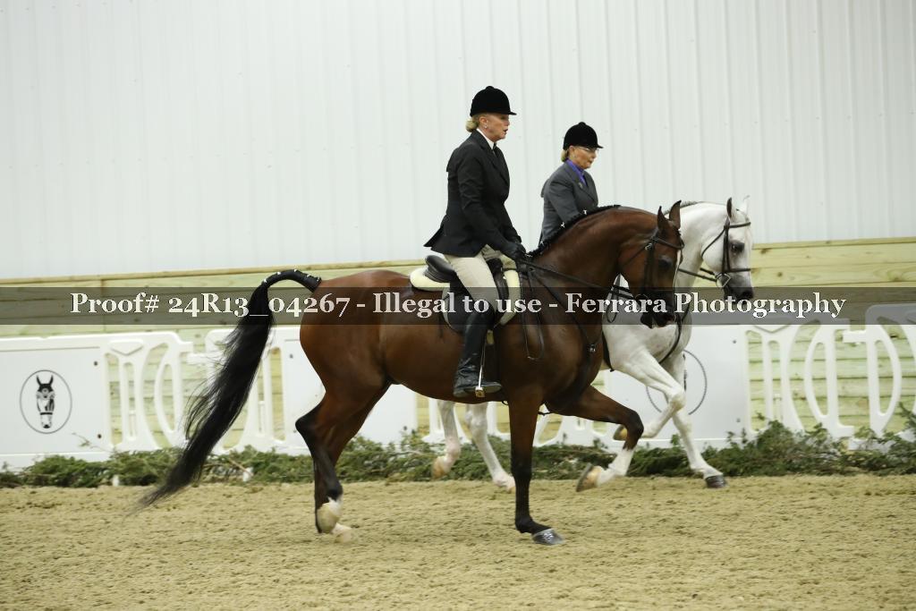 Proof 24R13_04267