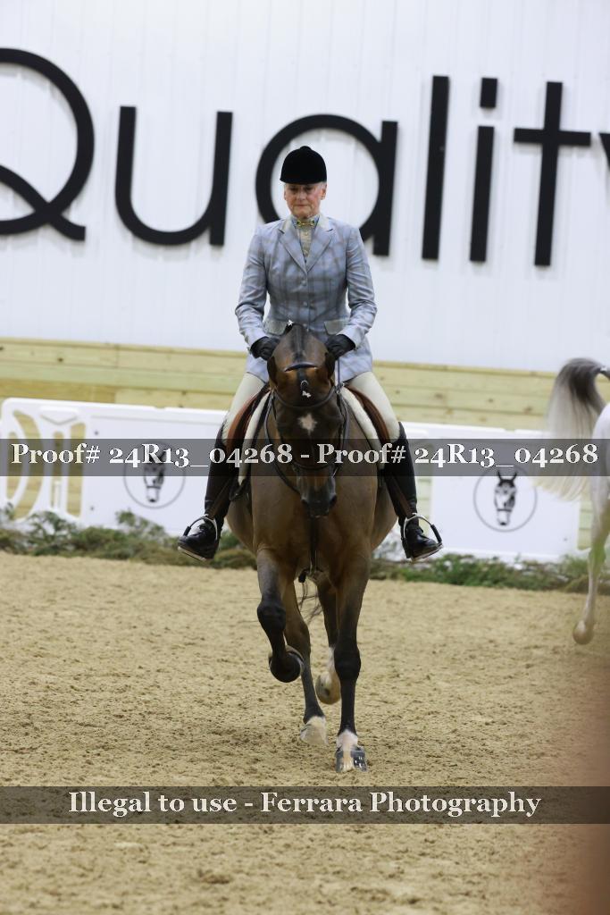 Proof 24R13_04268