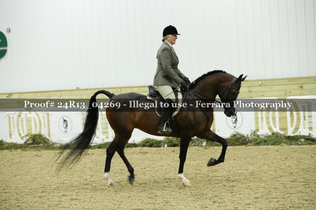 Proof 24R13_04269