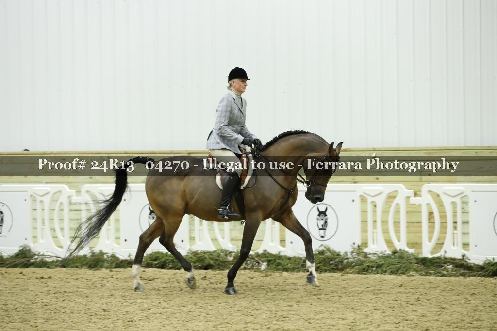 Proof 24R13_04270