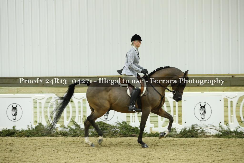 Proof 24R13_04271