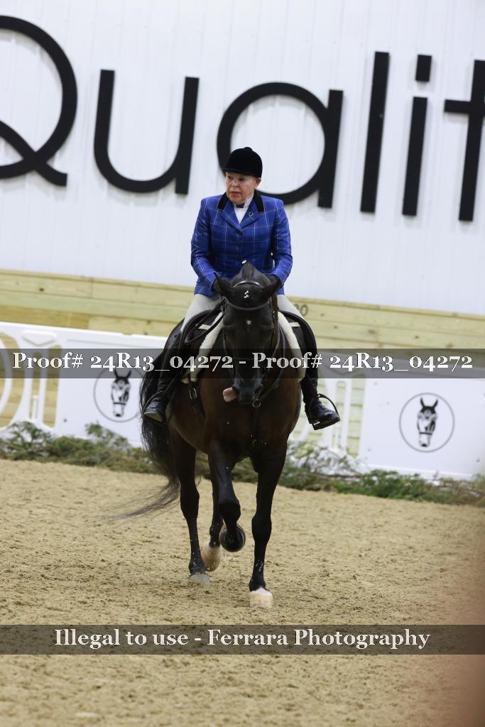 Proof 24R13_04272