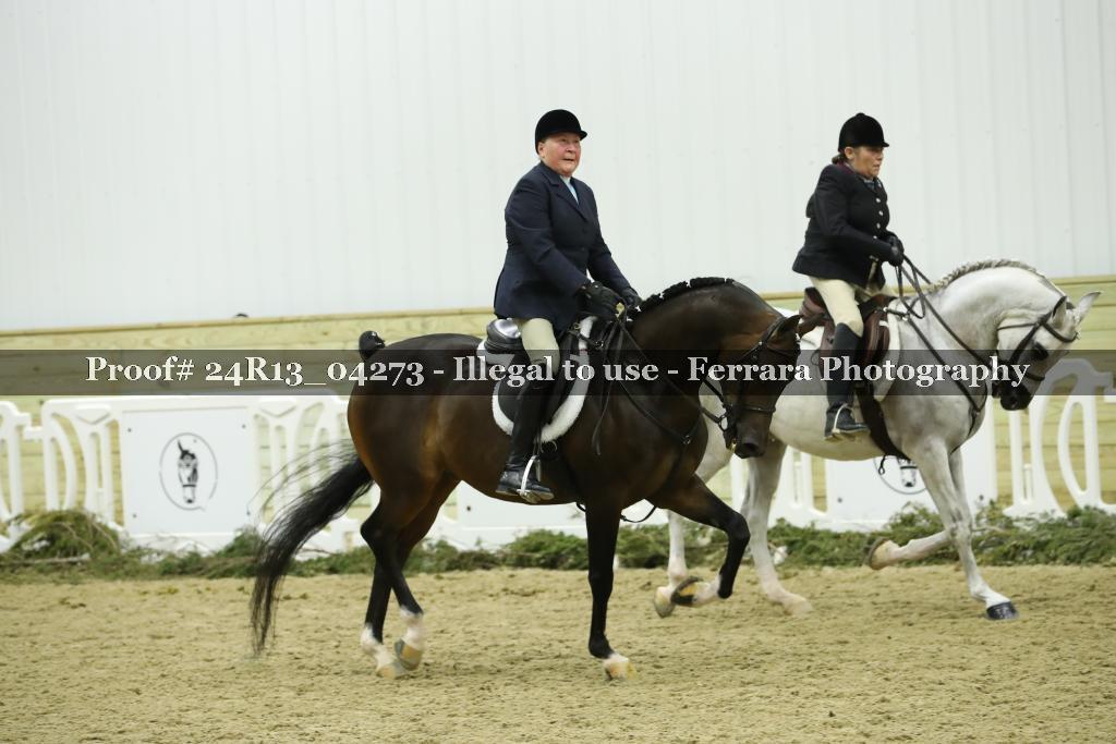 Proof 24R13_04273