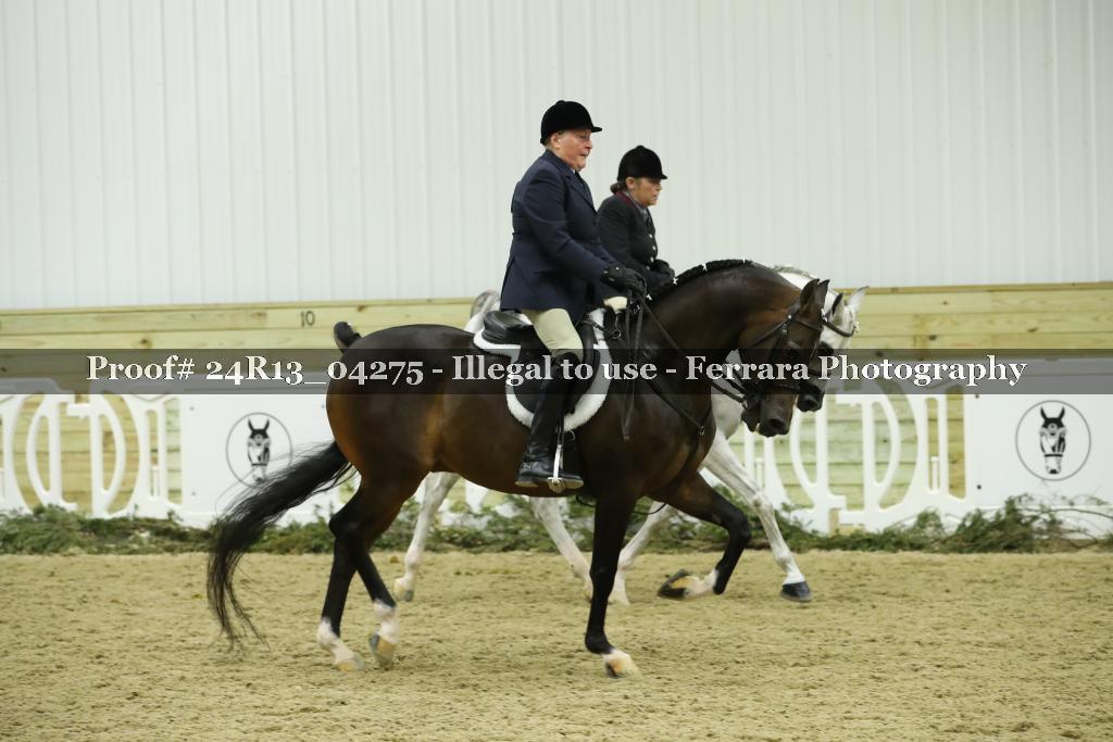 Proof 24R13_04275