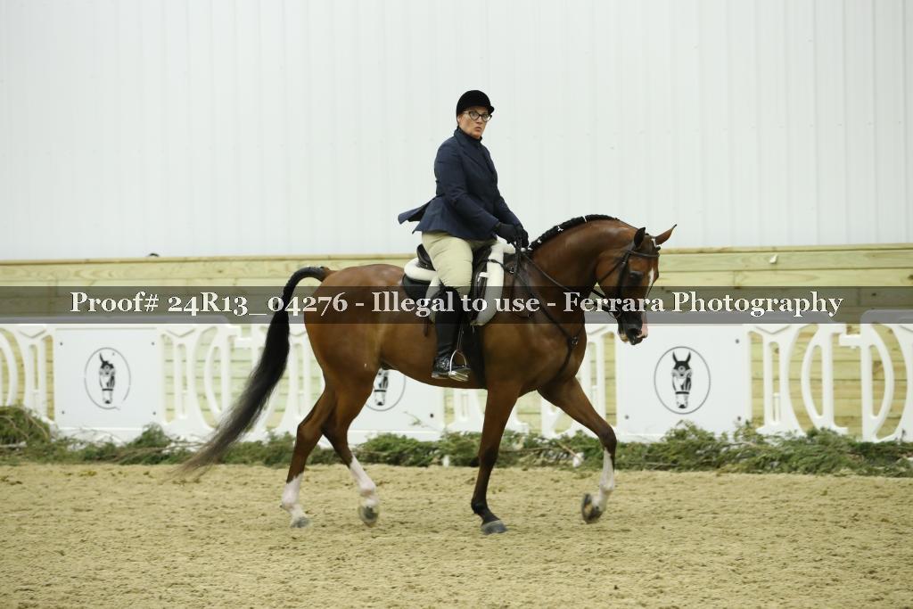 Proof 24R13_04276