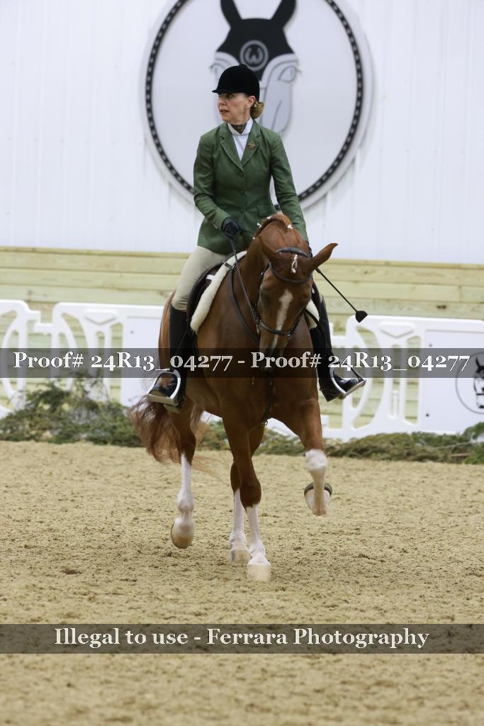 Proof 24R13_04277