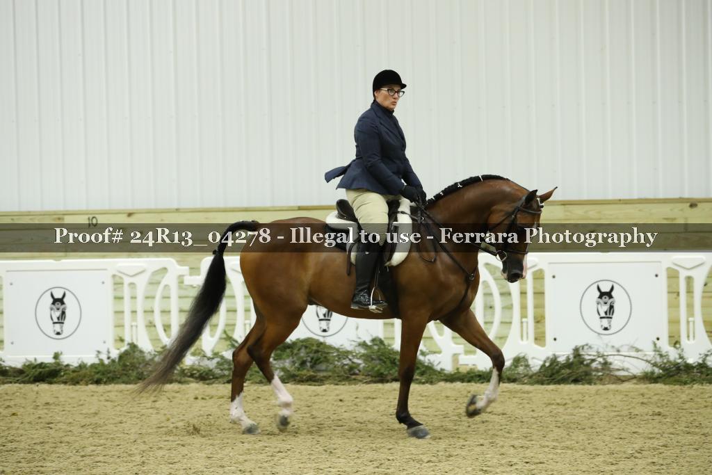 Proof 24R13_04278