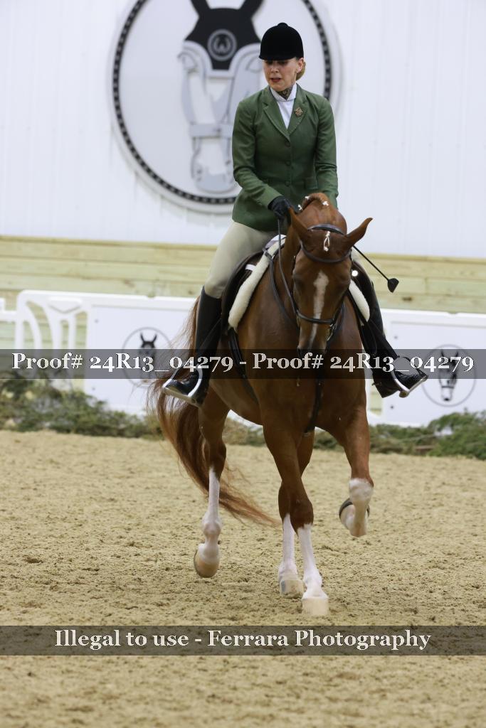 Proof 24R13_04279