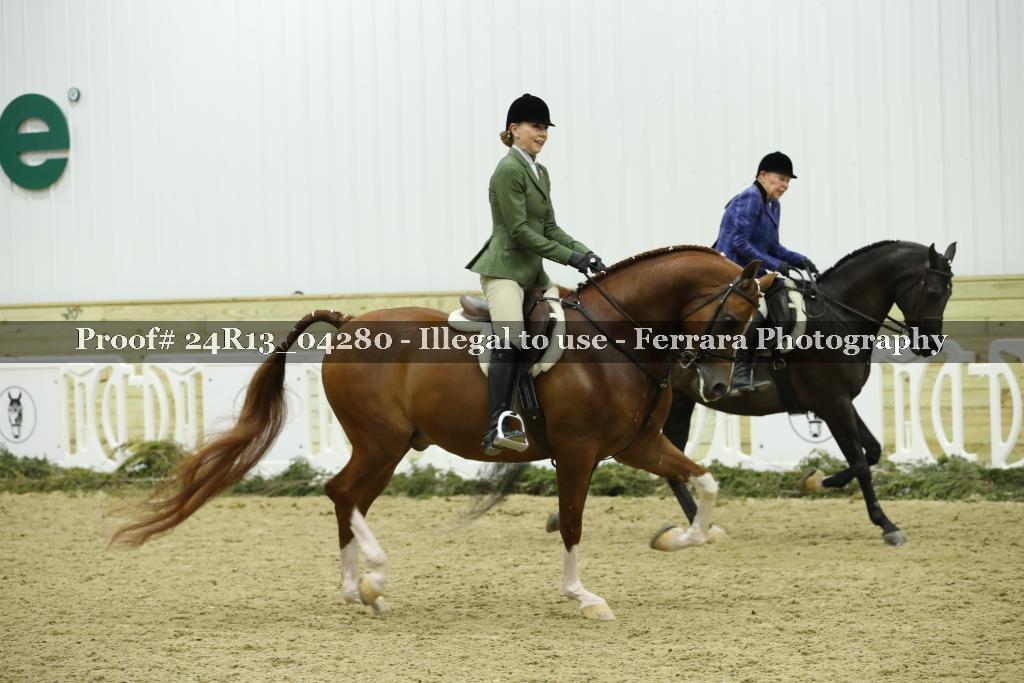 Proof 24R13_04280