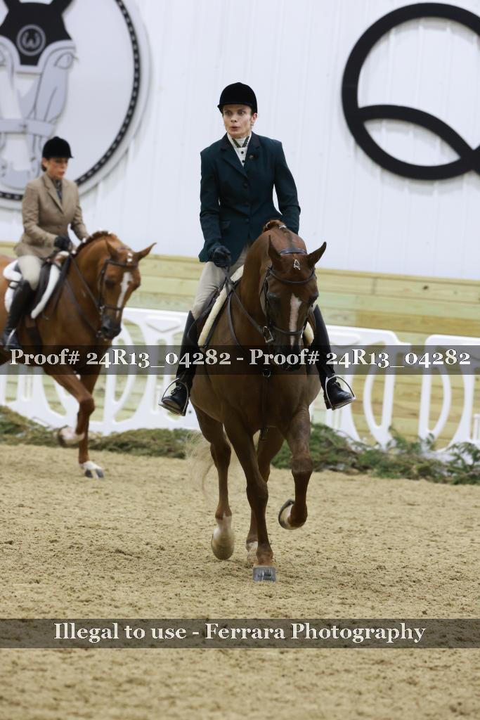 Proof 24R13_04282