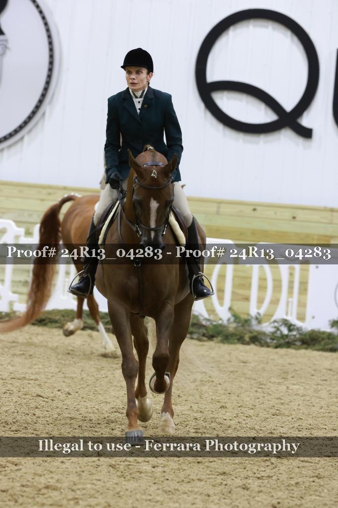 Proof 24R13_04283