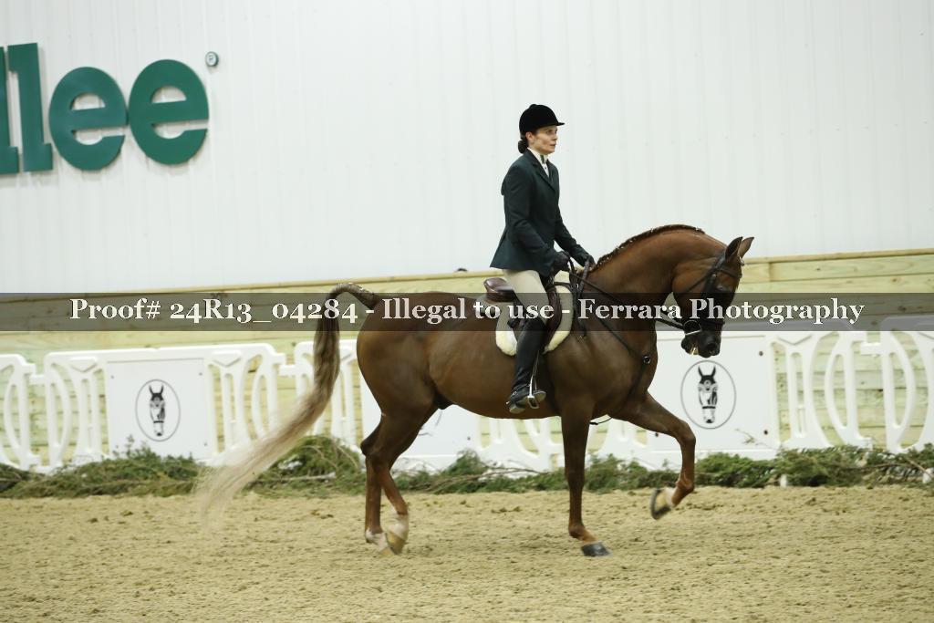 Proof 24R13_04284