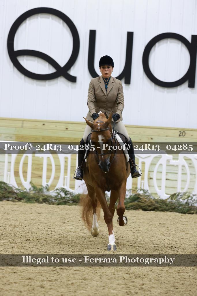 Proof 24R13_04285