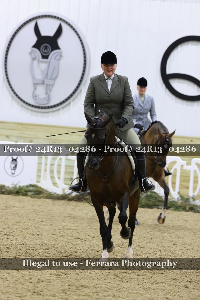 Proof 24R13_04286