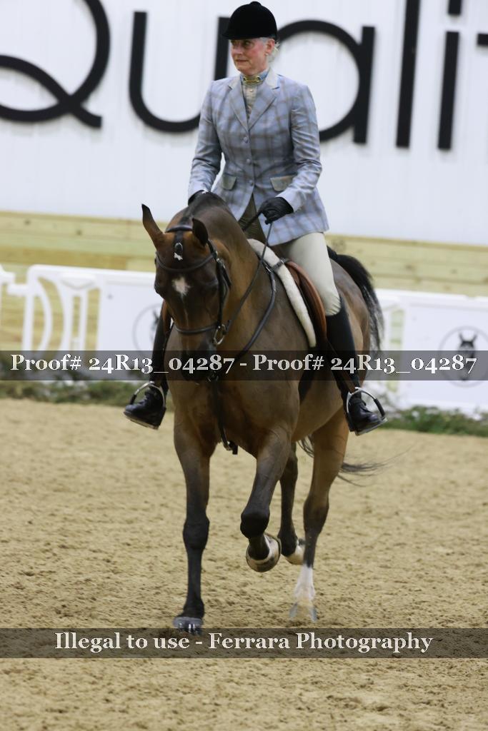 Proof 24R13_04287