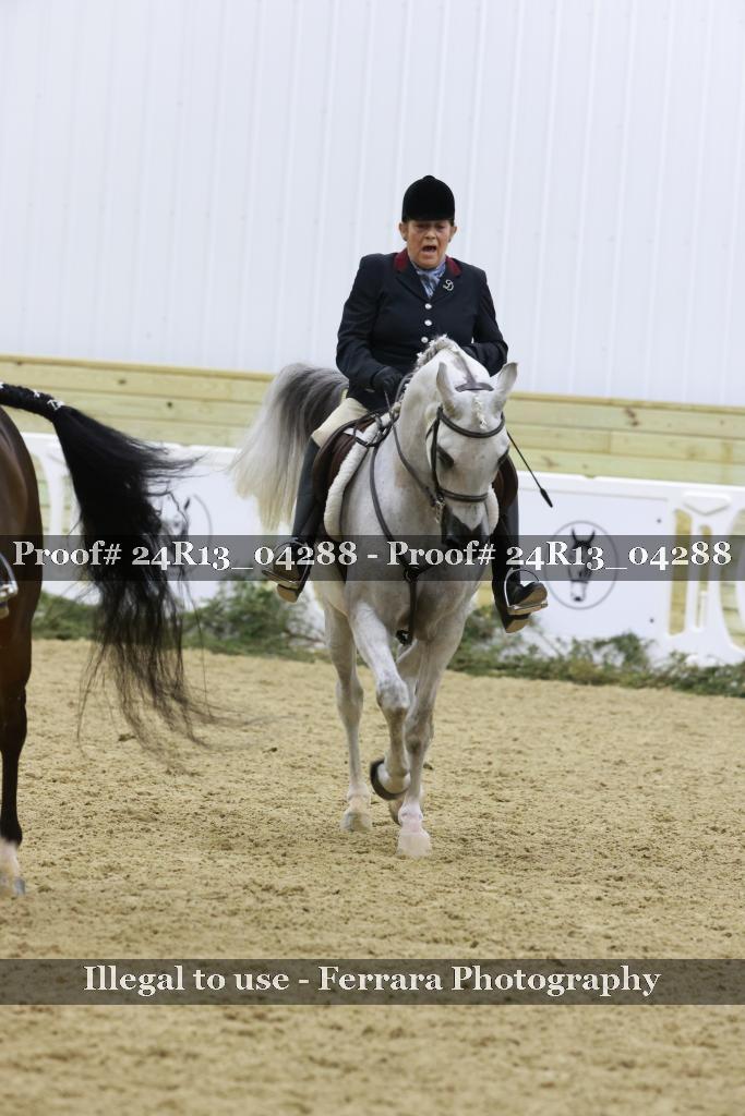 Proof 24R13_04288